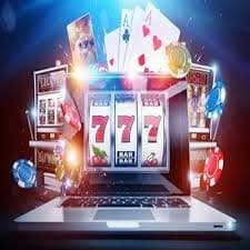 Live roulette table interface on dollartoto login Live roulette table interface on dollartoto login